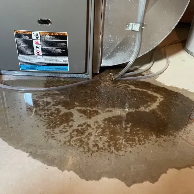 Appliance Leak Cleanup in Saint Louis, MI